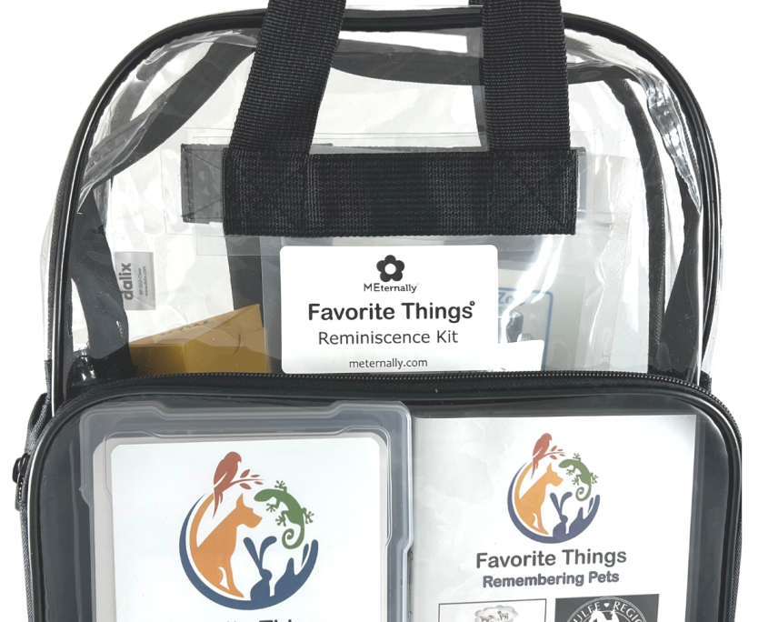 Clear plastic backpack with Memory Kit items