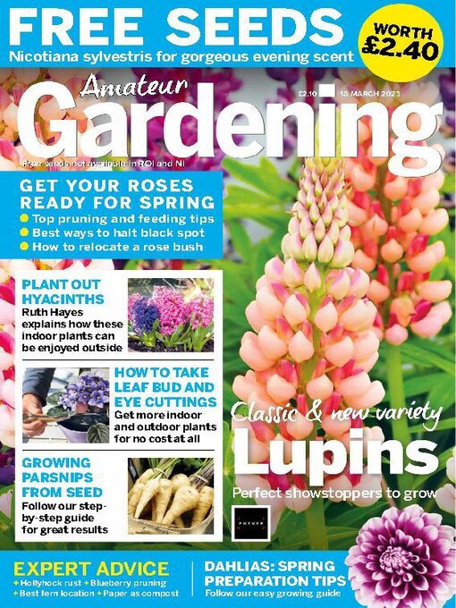 Cover of Amateur Gardening magazine